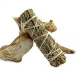 Botte de sauge officinale