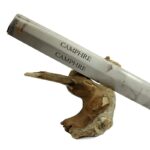 Encens camphre Aromatika