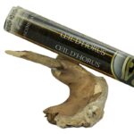 Encens oeil d'Horus Aromatika