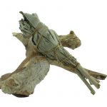 Mini baton sauge blanche qualité premium