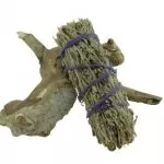 Mini botte sauge blanche du désert