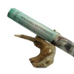 Encens pouvoirs nettoyants