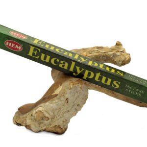 encens eucalyptus hem