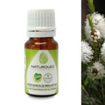 Huile essentielle arbre à thé Bio 10 ml