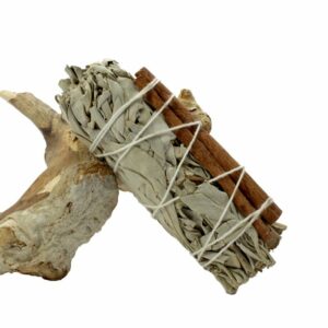 Botte sauge blanche et cannelle