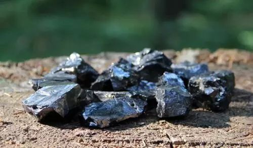 Shungite, la pierre du bien