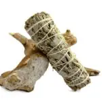 Botte sauge blanche et bleue